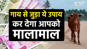 गाय का ये उपाय करने से बरसेगी मां लक्ष्मी की कृपा- India TV Hindi