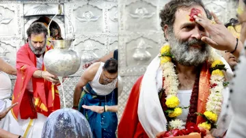 राहुल गांधी महाकालेश्वर मंदिर पहुंचे और पूजा-अर्चना की- India TV Hindi