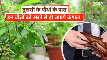 तुलसी के पौधे के पास भूलकर भी ये चीज़ें न रखें- India TV Hindi