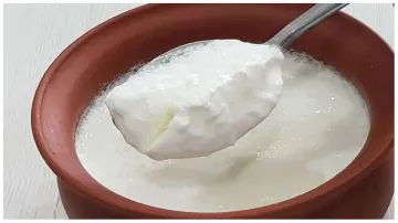 Curd_with_salt- India TV Hindi