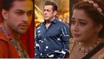 Salman Khan, Shalin Bhanot, Tina datta- India TV Hindi