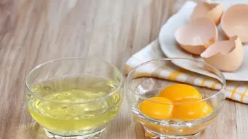 egg yolk vs egg white- India TV Hindi