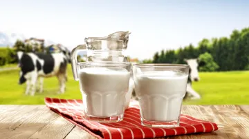 Milk in high cholesterol- India TV Hindi