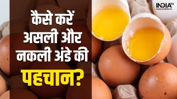 नकली अंडे को खाने से आपकी सेहत खराब हो सकती है।- India TV Hindi