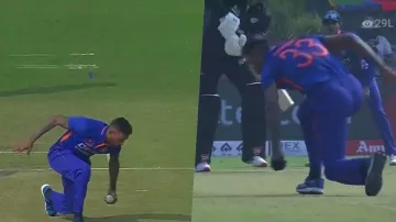 Hardik Pandya took an amazing catch vs New Zealand- India TV Hindi
