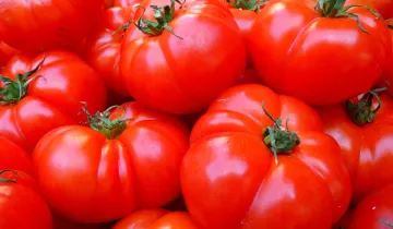 Side effects of eating tomato- India TV Hindi