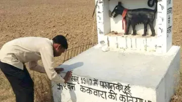 कुतिया के मंदिर के पास से गुजरने वाले लोग मंदिर के सामने अपना सिर झुकाकर जाते हैं।- India TV Hindi