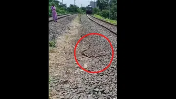 snake fight video viral- India TV Hindi