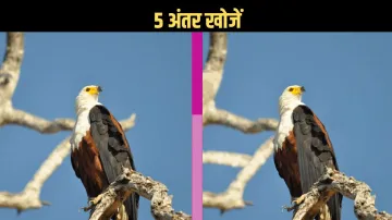 find the difference in this photo- India TV Hindi