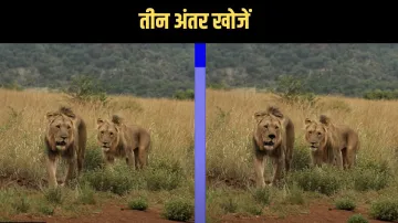 इस फोटो मे तीन अंतर...- India TV Hindi