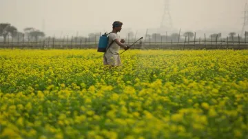 Agricultural fair organized in Hisar from March 10 to 12- India TV Hindi