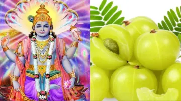 Amalaki Ekadashi 2023- India TV Hindi