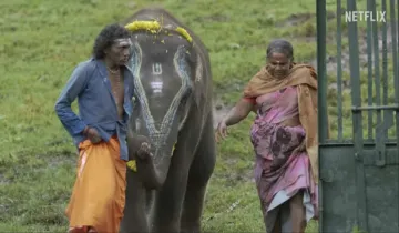 Oscars 2023 95th academy awards full nomination list best indian short documentary film The Elephant- India TV Hindi