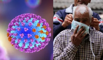  H3N2, swine flu - India TV Hindi