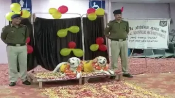 CISF Dogs - India TV Hindi