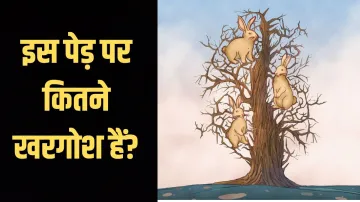 brain game- India TV Hindi