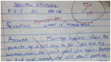 Viral News What is marriage In response to this question the student gave a tremendous answer google- India TV Hindi