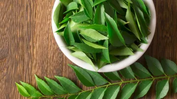 curry_leaves_for_hair- India TV Hindi