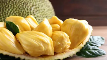  jackfruit- India TV Hindi