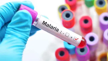 malaria- India TV Hindi