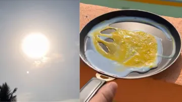 making omelets in the sun- India TV Hindi