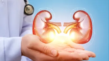kidney_health- India TV Hindi