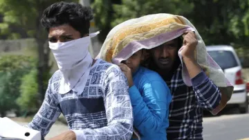heatwave alert for delhi - India TV Hindi