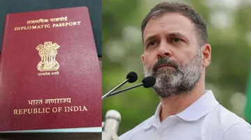 सांसदी जाने के बाद राहुल गांधी को जमा करना पड़ा था डिप्लोमेटिक पासपोर्ट- India TV Hindi