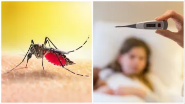 symptoms of chikungunya- India TV Hindi