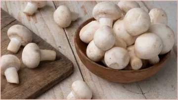 Mushrooms- India TV Hindi