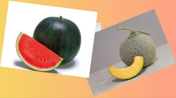  muskmelon_watermelon_benefits- India TV Hindi