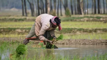 Ashok Gehlot, Rajasthan Farmers, Farmers 5 Thousand Rupees- India TV Hindi