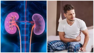 kidney problems- India TV Hindi