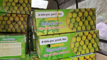 duydhiya malda aam- India TV Hindi