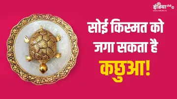 Vastu Tips for Tortoise- India TV Hindi