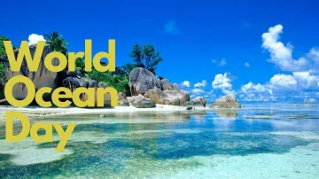 World Ocean Day 2023 - India TV Hindi
