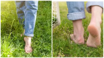 Walking on Grass Health Benefits- India TV Hindi