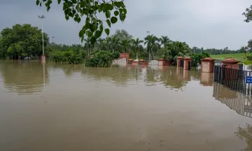 प्रतिकात्मक तस्वीर- India TV Hindi