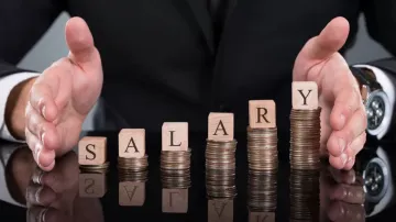 CEO Salary- India TV Paisa