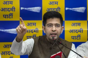 AAP MP Raghav chadha- India TV Hindi