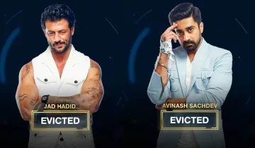 jad hadid, avinash sachdev, bigg boss ott 2 - India TV Hindi