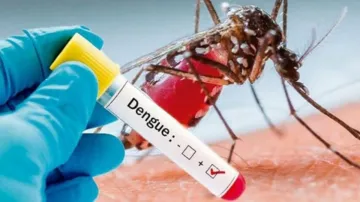 dengue_fever- India TV Hindi