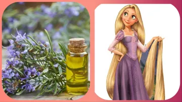  Rosemary oil for hair growth- India TV Hindi