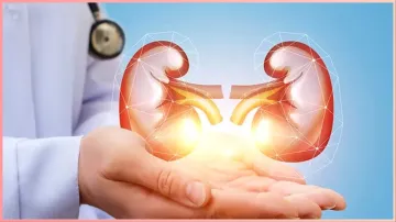 kidney_disease_damage- India TV Hindi