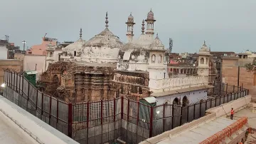 Gyanvapi Masjid, Gyanvapi Masjid ASI Survey, High Court ASI Survey- India TV Hindi