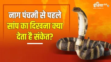 Nag Panchami 2023- India TV Hindi