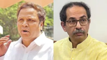 Ashish Shelar and Uddhav Thackeray- India TV Hindi