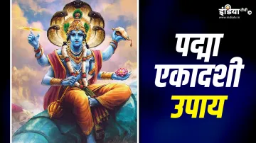 Padma Ekadashi 2023 Upay - India TV Hindi