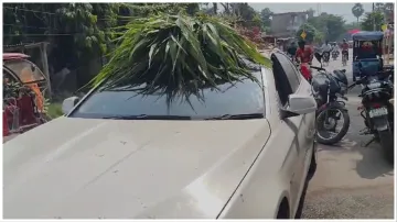 Bihar Samastipur viral video where a man carried animal fodder on bmw car- India TV Hindi