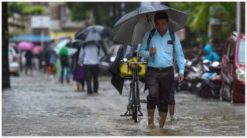 IMD Weather Report Today IMD ISSUED Red alert issued for rain in Madhya Pradesh AND Gujarat WEATHER - India TV Hindi